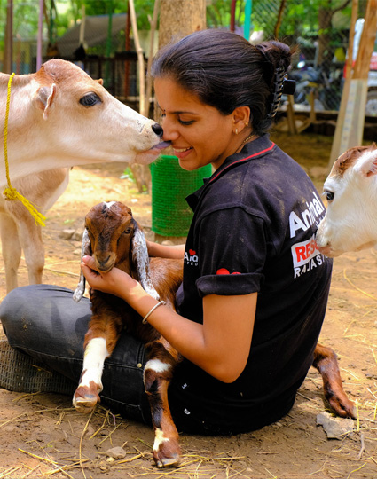 Our values and mission - Rescuing animals in Udaipur - Animal Aid Unlimited