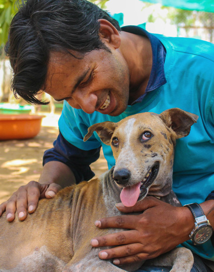 About us - Protecting animals in Udaipur - Animal Aid Unlimited