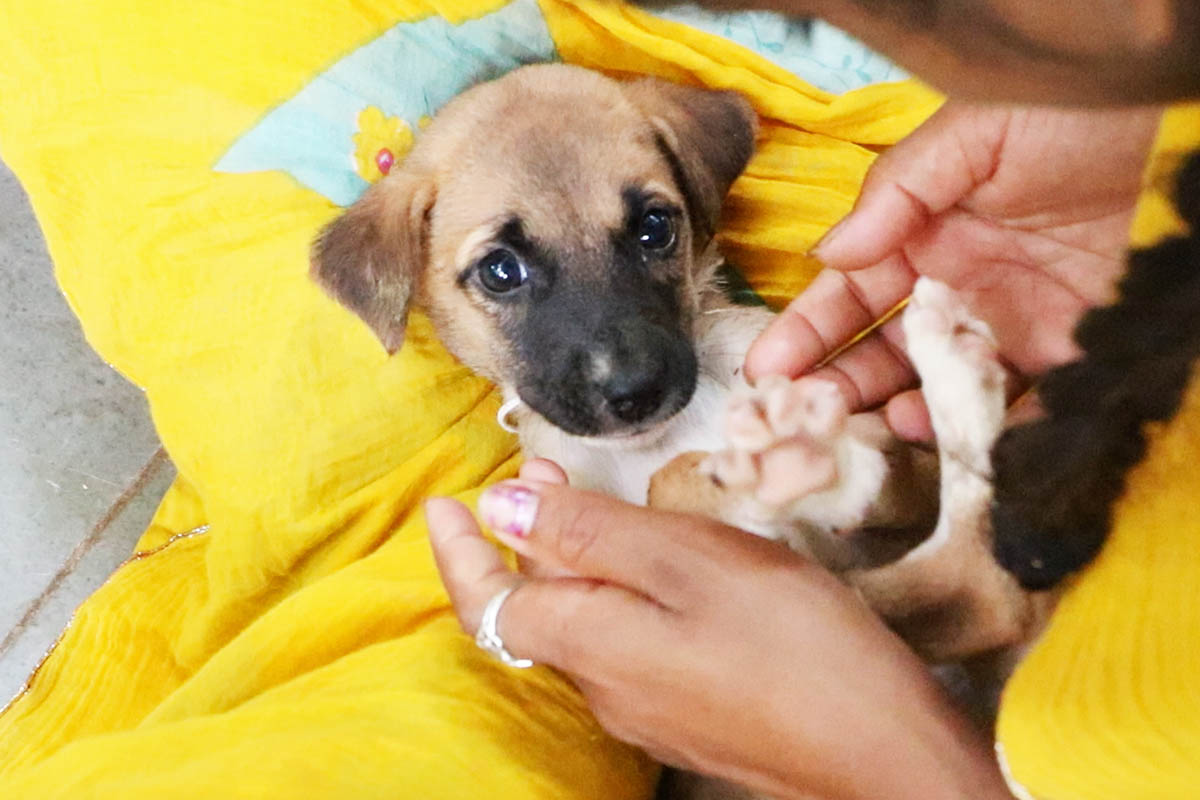 A head harm introduced this child to loss of life’s door. However wait! She’s tiny however difficult!