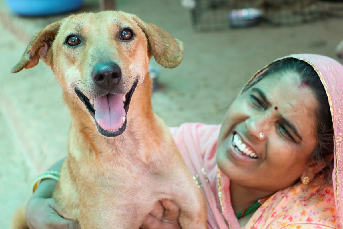 Dog faces camera laughing with Indian woman smiling at him in the background