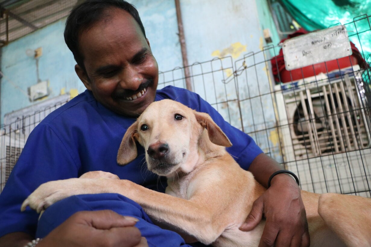 Dog is cuddled by smiling vet
