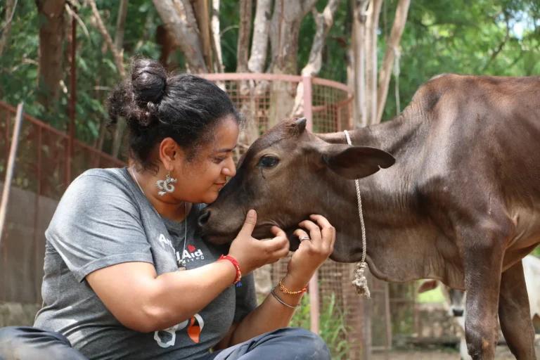Indian women sites cradling a brown cow