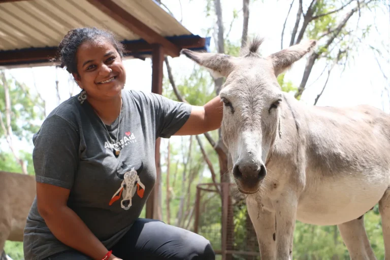 Indian woman faces camera smiling white donkey is next to her